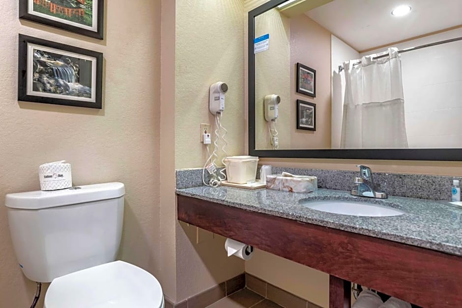 Comfort Inn Birmingham - Irondale