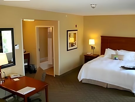 1 King Bed Studio Suite Nonsmoking