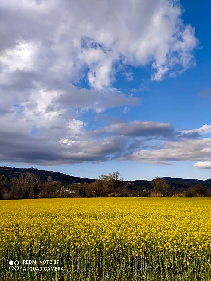 B&B La Casa di Giuliana