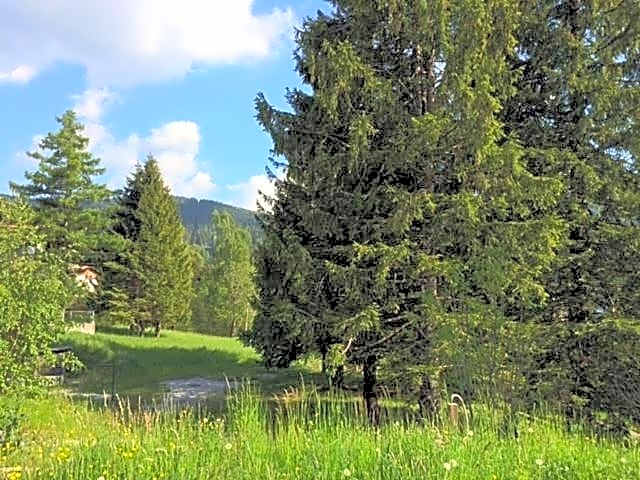 Miramonti Park Hotel