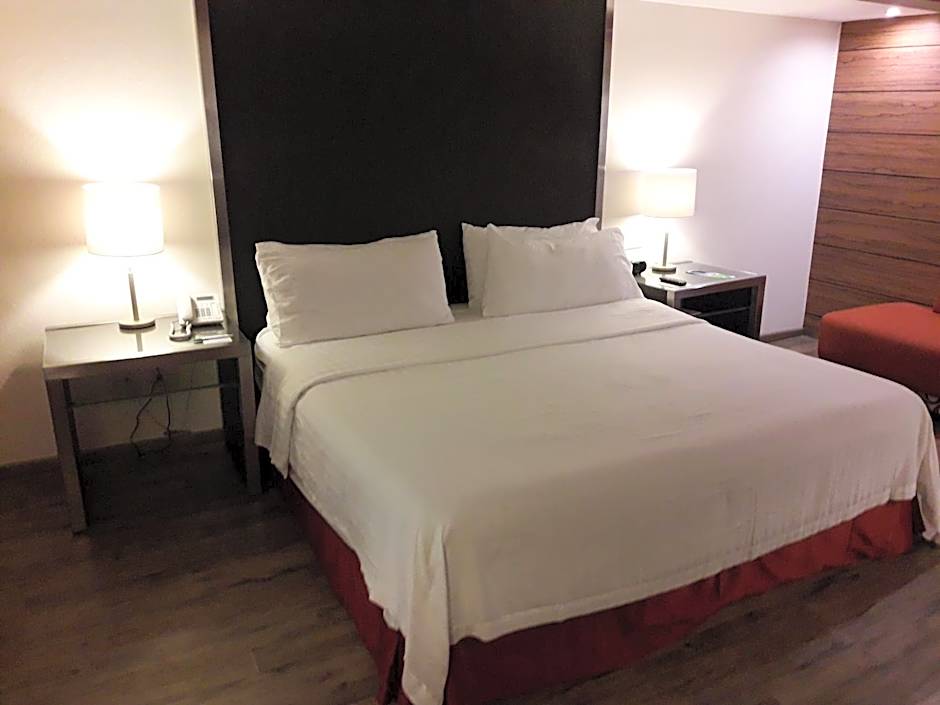 Holiday Inn Mexico Zona Centro By IHG