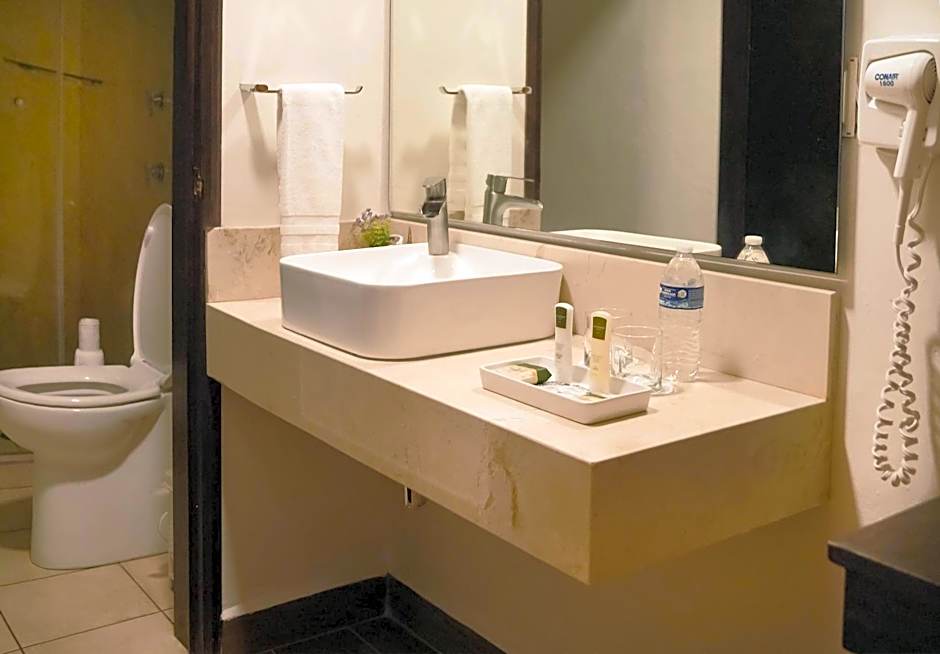 Hotel Casa Faroles Centro Histórico