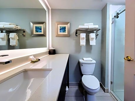 Executive Suite - Non-Smoking