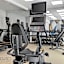 SpringHill Suites by Marriott Tampa Brandon