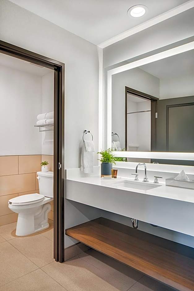 Ayres Hotel Vista Carlsbad