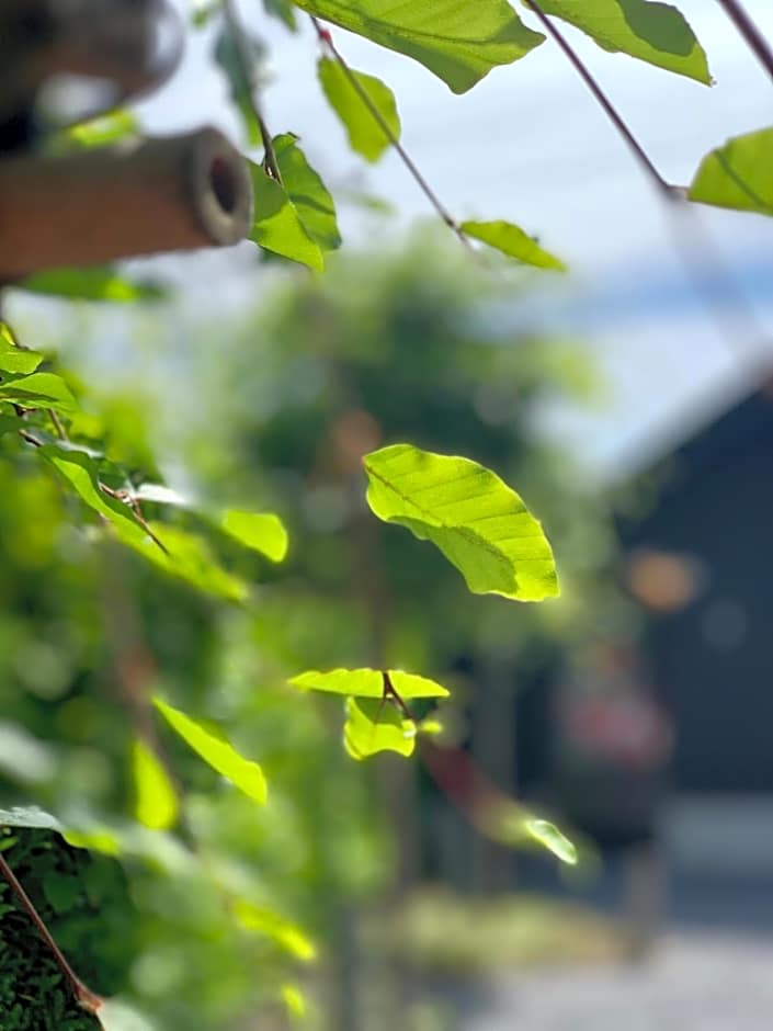 Bed & Breakfast Karakter