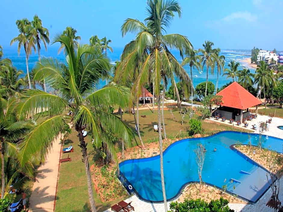 Hikka Tranz By Cinnamon