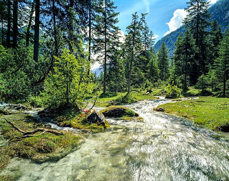 Hotel Lärchenhof Natur