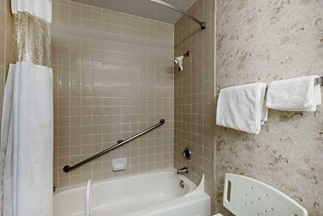 Queen Room with Bathtub - Mobility/Hearing Accessible - Non-Smoking