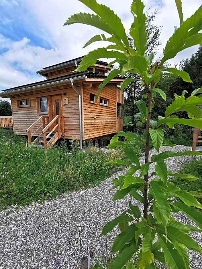Wald ist Zukunft