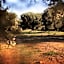 Masseria Borgo Mortella