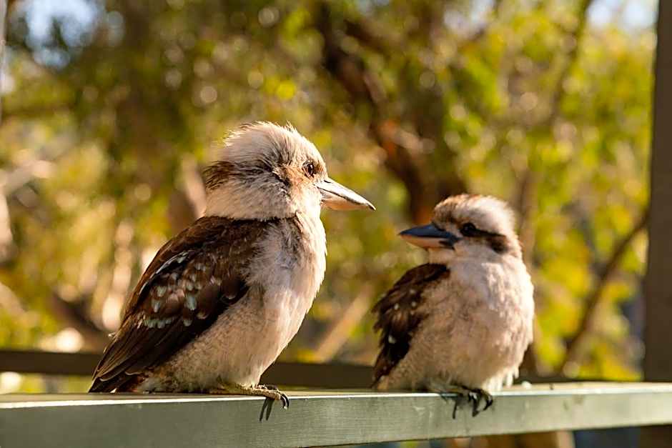McLean Beach Holiday Park