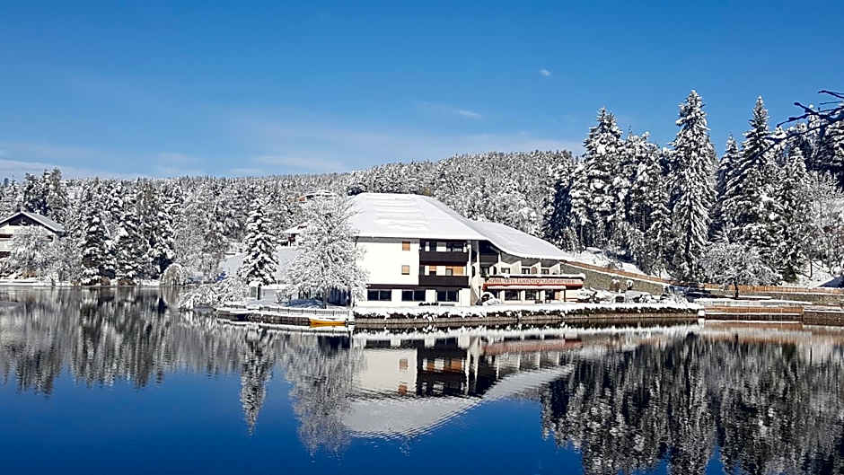 Hotel Am Wolfgrubenersee