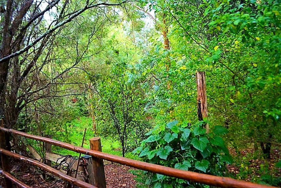 Black Cockatoo Lodge