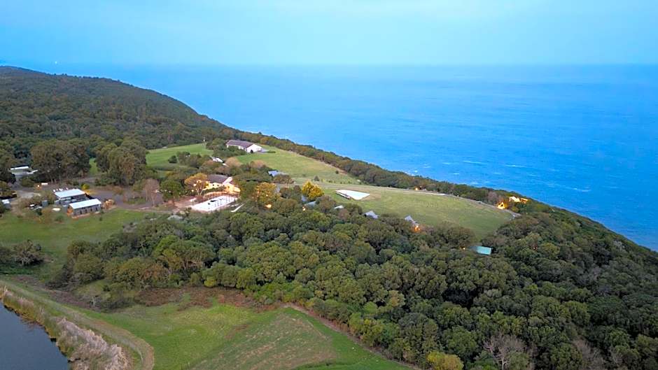 Misty Mountain Reserve