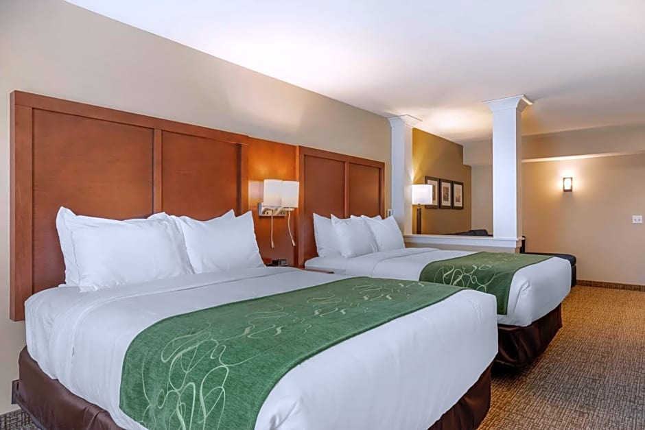 Comfort Inn & Suites Schenectady - Scotia
