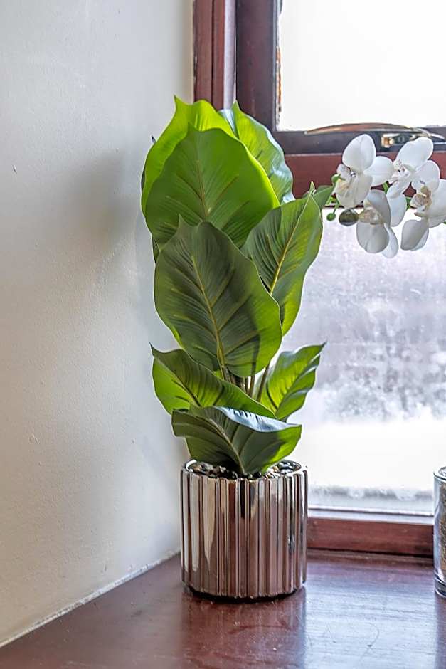 Prime location rooms in high street