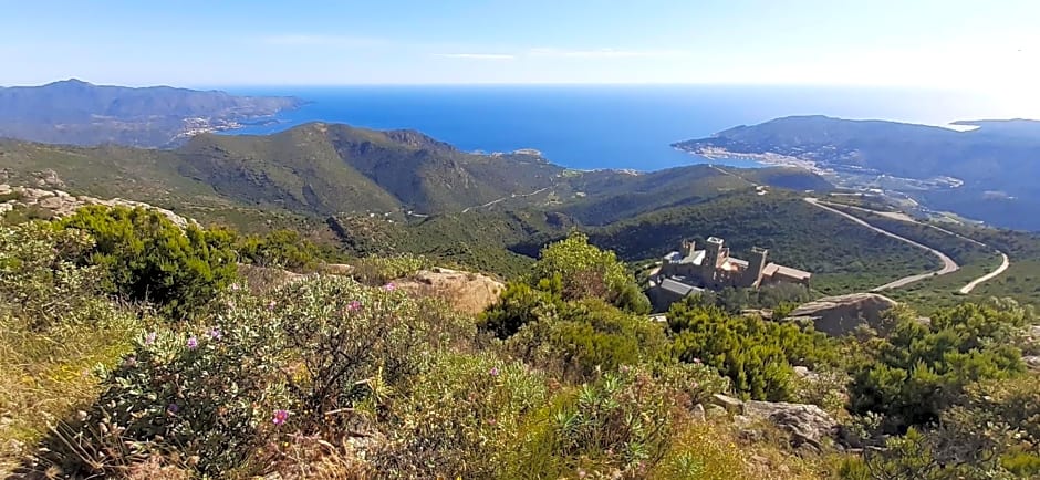 Suite & Spa Panoramic Olivars