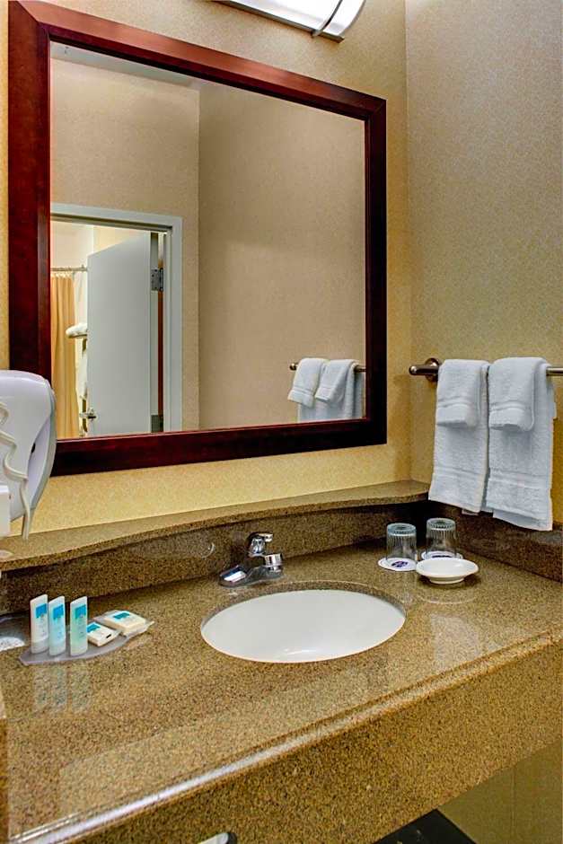 SpringHill Suites by Marriott Memphis Downtown