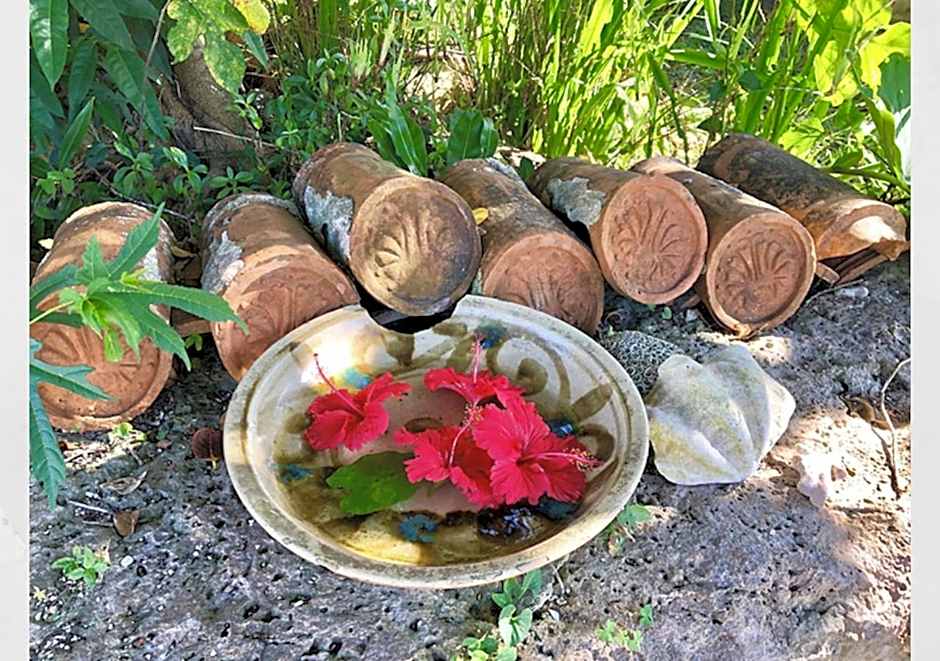 Blue Steak Wonder Nagahama