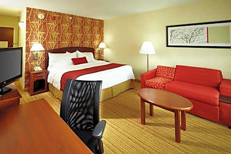 King Room with Sofa Bed