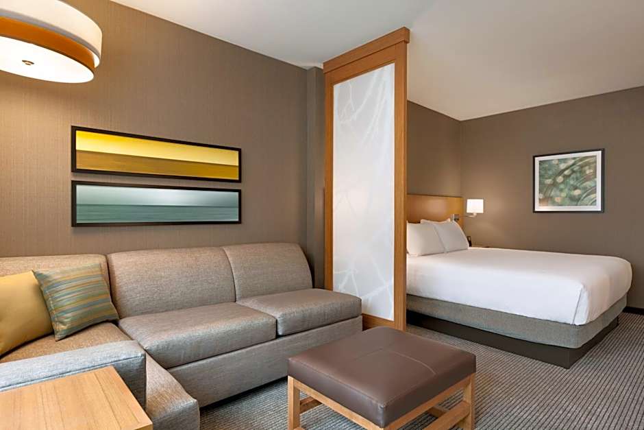 Photo 1 of 5 of 1 King Bed with Sofabed, Accessible, Bathtub