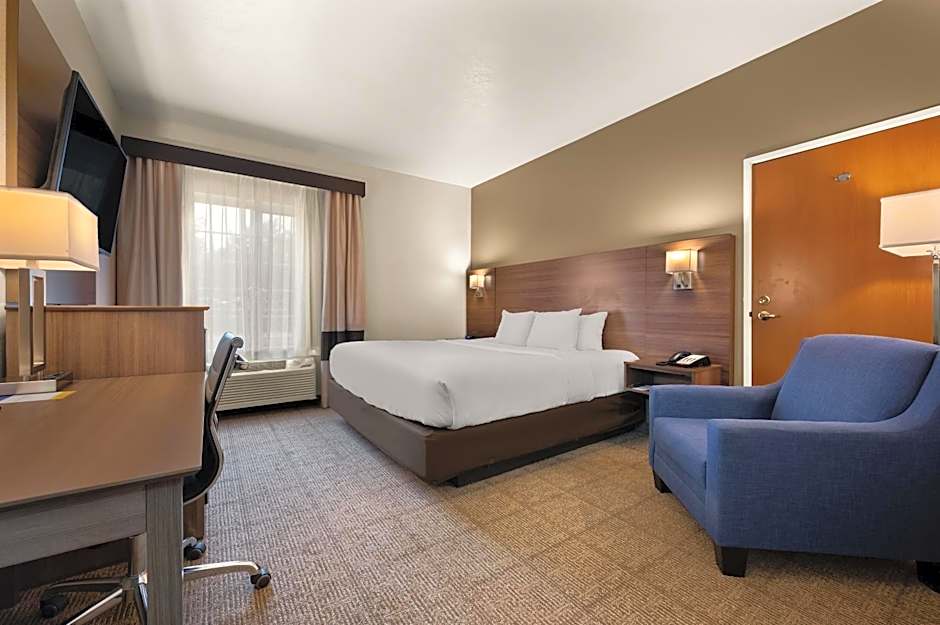 Comfort Inn & Suites Fenton