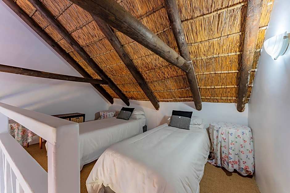 Cycads on Sea Guest House