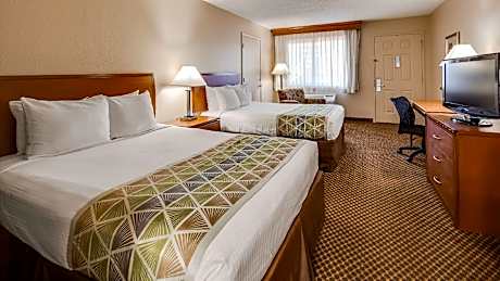 Queen with 2 Queen Beds