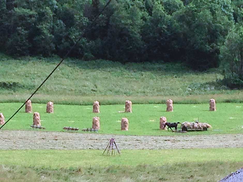 Pokoje Gościnne Madzia