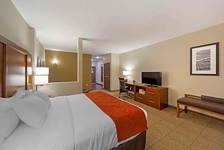 1 King Bed, Suite, Nonsmoking