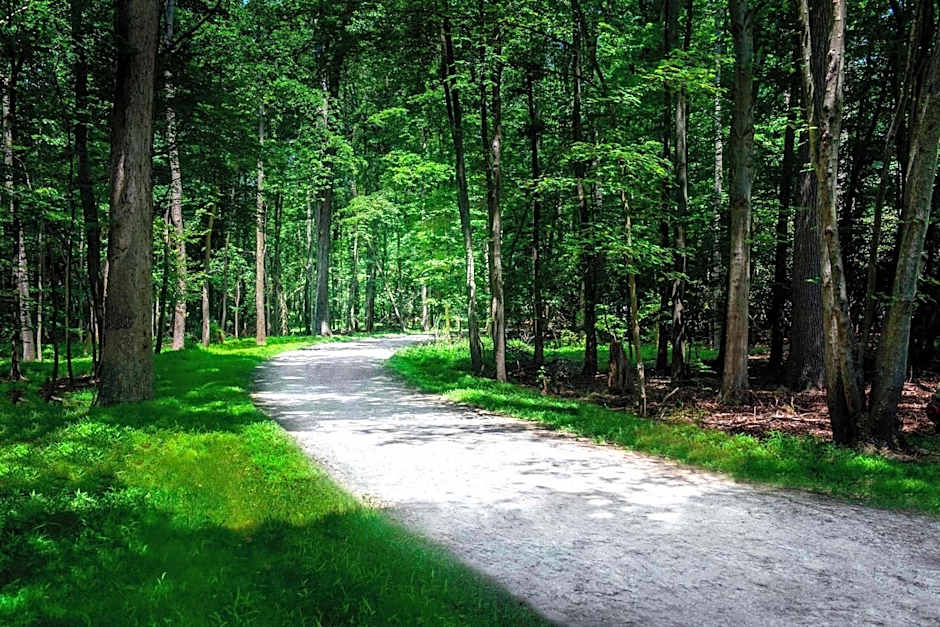 Princeton Marriott At Forrestal