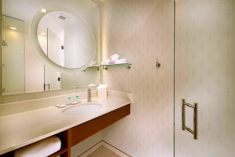 SpringHill Suites by Marriott San Antonio SeaWorld/Lackland