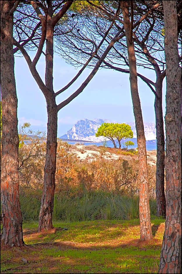 Appartamenti Le Magnolie