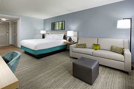 King Room with Sofa Bed - Non-Smoking