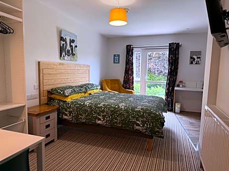King Room - Disability Access