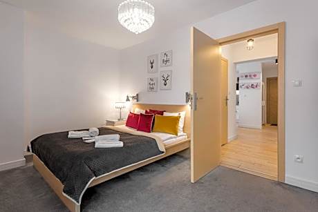 Superior Apartment 5