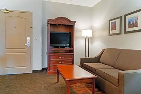 King Suite with Sofa Bed  - Non-Smoking