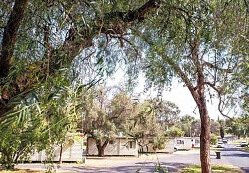 Spicer Caravan Park