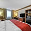 Comfort Inn Mount Vernon Downtown
