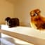 greet Hotel Dijon Sud Longvic