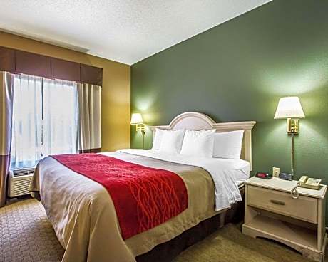 1 Queen Bed, Nonsmoking, Accessible