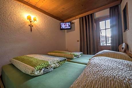 Double or Twin Room with Mountain View
