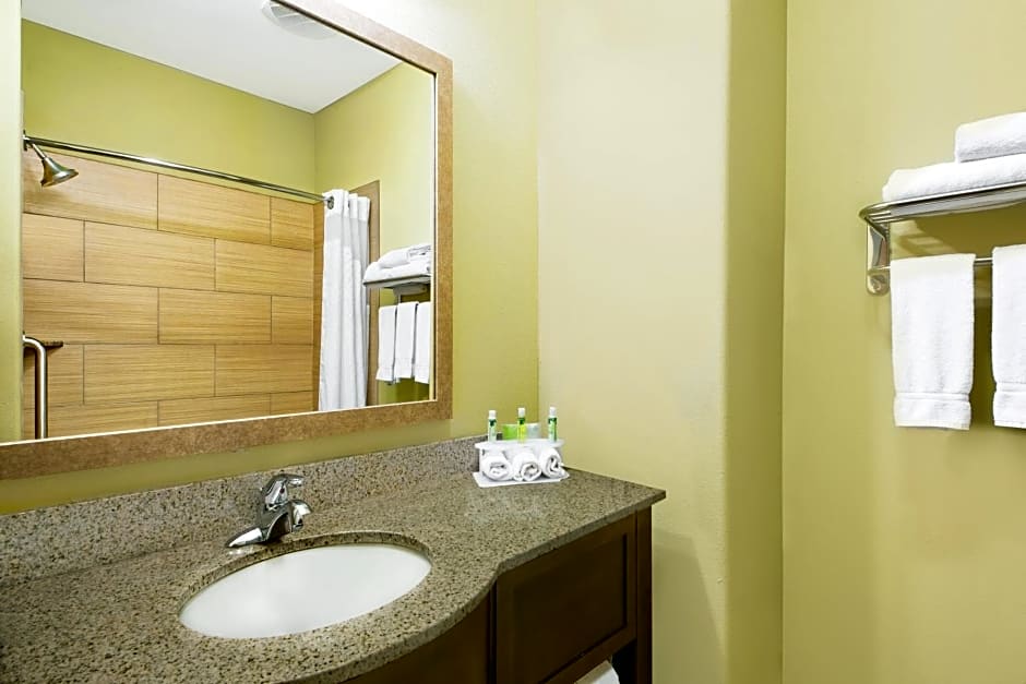 Holiday Inn Express Hotel and Suites Monahans I-20