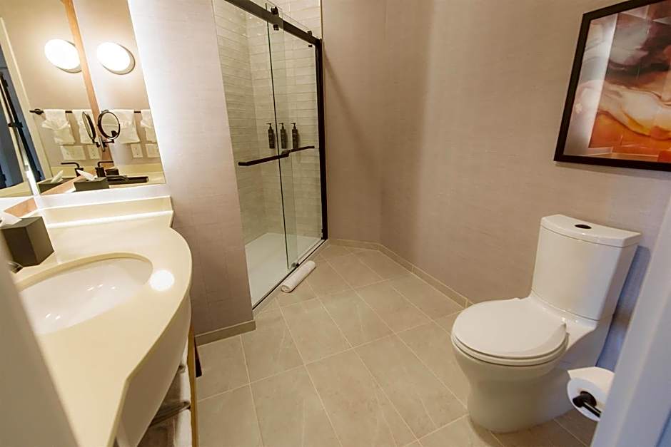 Hilton Garden Inn Sioux Falls Downtown