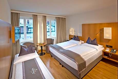 Triple Room with Air Conditioning