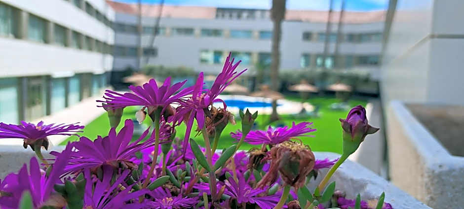 Daniya Alicante