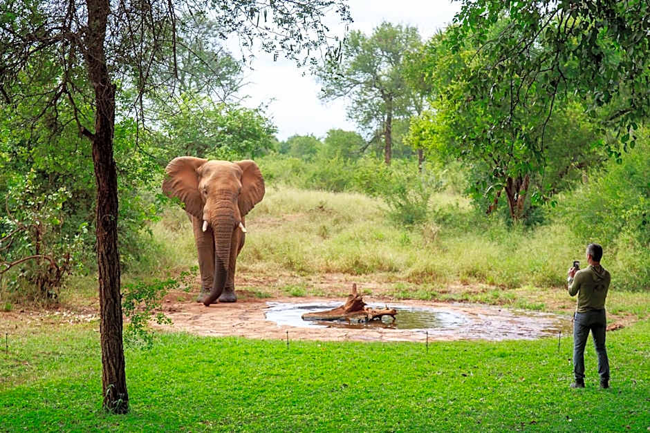 Sable Creek Safari Lodge