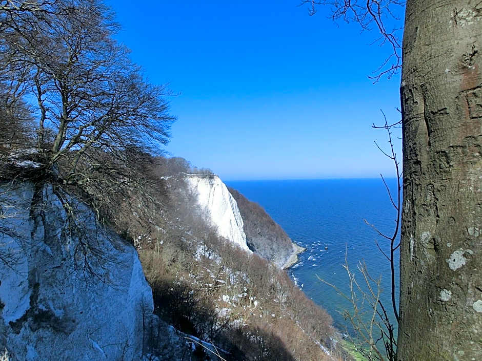 Restaurant & Hotel Baumhaus Hagen