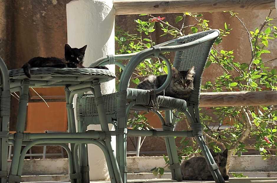 L'Oasi Villaggio Albergo